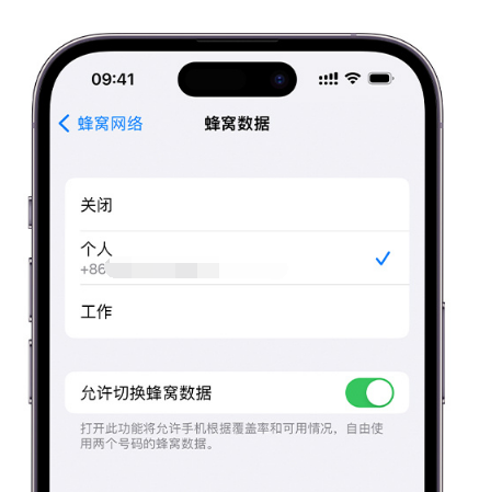 白山苹果维修服务分享如何在iPhone上使用双卡 