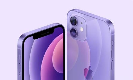 白山苹果手机维修分享紫色版iPhone 12有什么技术亮点 